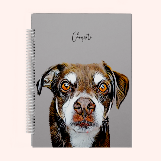 Diary
