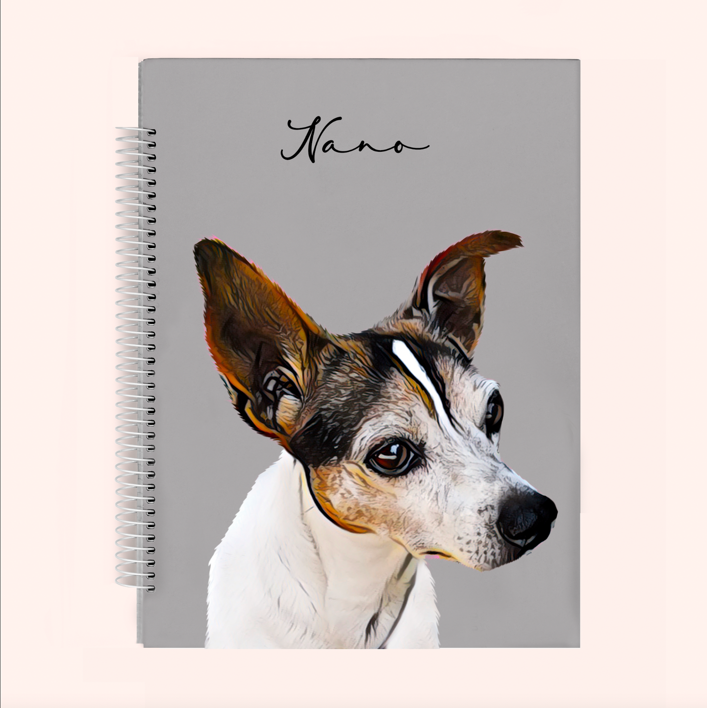 Agenda